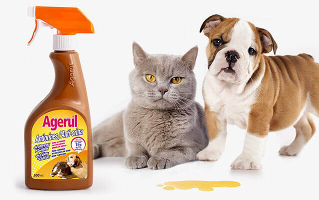 Antiorines perros y gatos Agerul